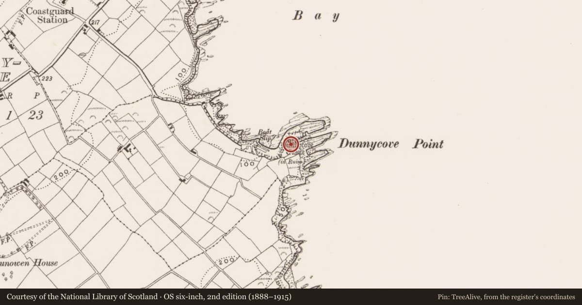 Ordnance Survey six-inch map, 2nd edition (1888–1915) covering the location of Castle - tower house, Dunnycove, County Cork, with a pin at the register's coordinates