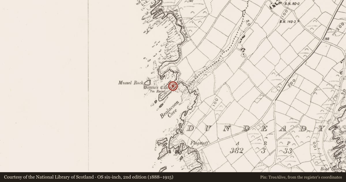 Ordnance Survey six-inch map, 2nd edition (1888–1915) covering the location of Castle - unclassified, Donoure, County Cork, with a pin at the register's coordinates