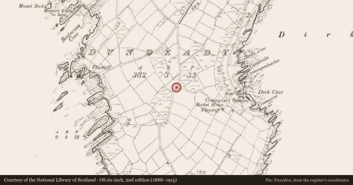 Ordnance Survey six-inch map, 2nd edition (1888–1915) covering the location of Souterrain, Dundeady, County Cork, with a pin at the register's coordinates
