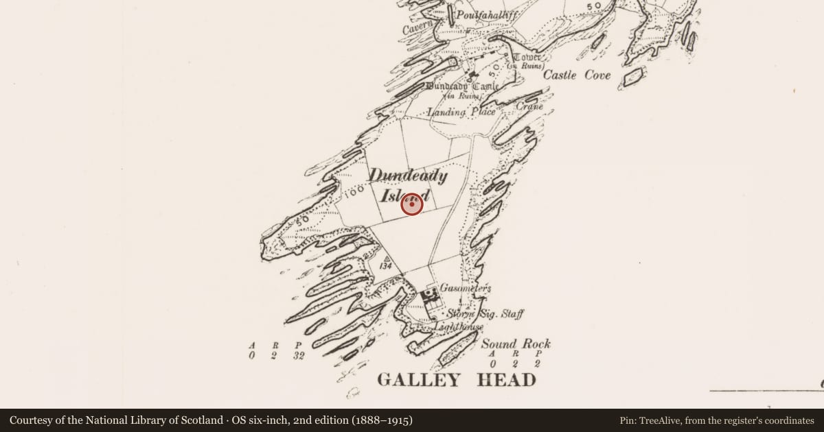 Ordnance Survey six-inch map, 2nd edition (1888–1915) covering the location of Promontory fort - coastal, Dundeady, County Cork, with a pin at the register's coordinates