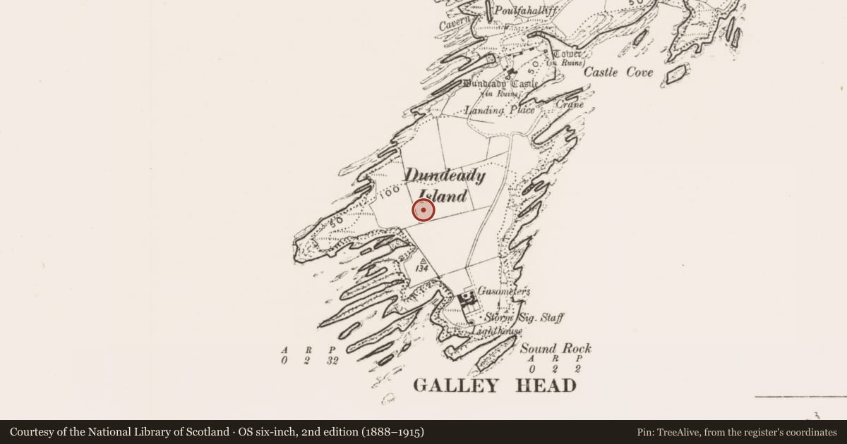 Ordnance Survey six-inch map, 2nd edition (1888–1915) covering the location of Standing stone, Dundeady, County Cork, with a pin at the register's coordinates