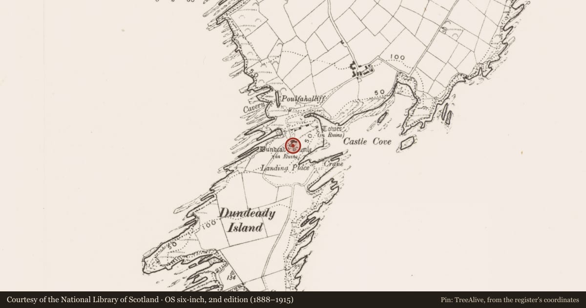 Ordnance Survey six-inch map, 2nd edition (1888–1915) covering the location of Castle - tower house, Dundeady, County Cork, with a pin at the register's coordinates