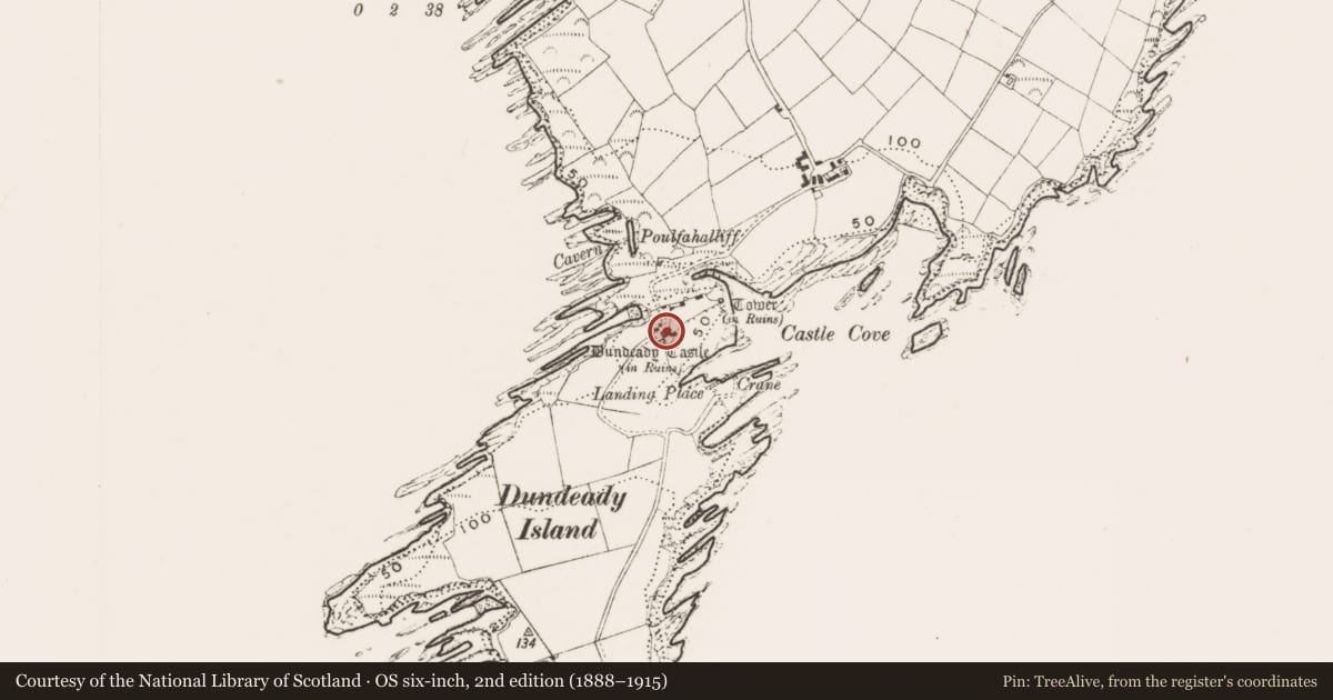 Ordnance Survey six-inch map, 2nd edition (1888–1915) covering the location of Bawn, Dundeady, County Cork, with a pin at the register's coordinates
