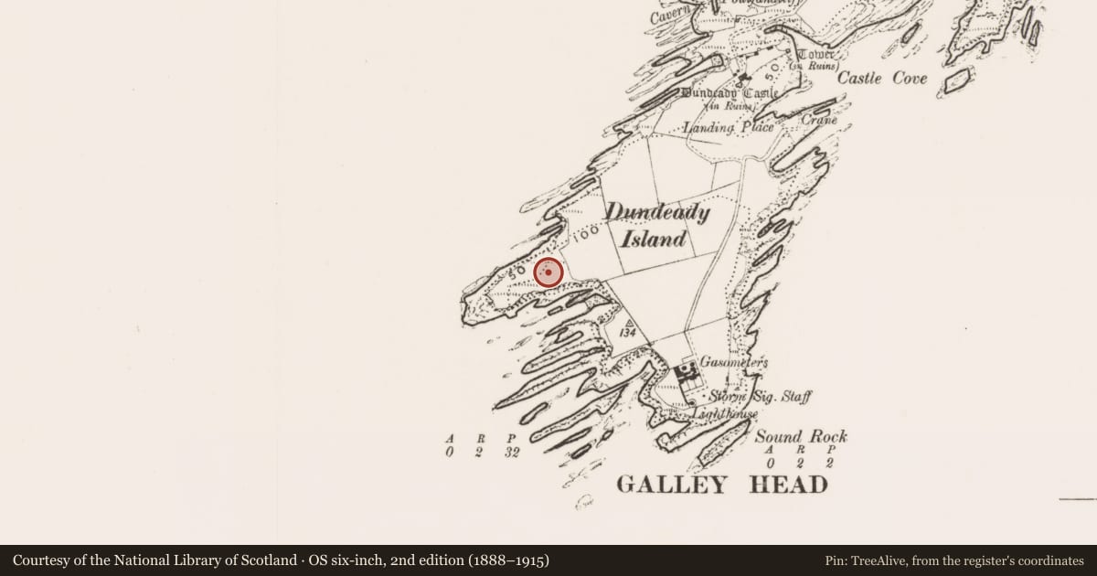 Ordnance Survey six-inch map, 2nd edition (1888–1915) covering the location of Hut site, Dundeady, County Cork, with a pin at the register's coordinates