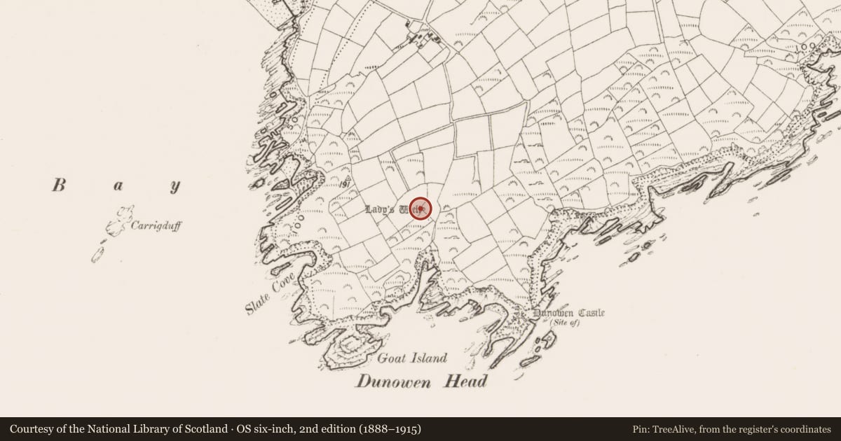 Ordnance Survey six-inch map, 2nd edition (1888–1915) covering the location of Ritual site - holy well, Dunowen, County Cork, with a pin at the register's coordinates