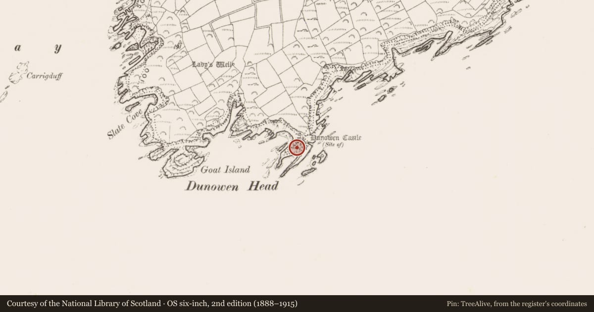 Ordnance Survey six-inch map, 2nd edition (1888–1915) covering the location of Promontory fort - coastal, Dunowen, County Cork, with a pin at the register's coordinates