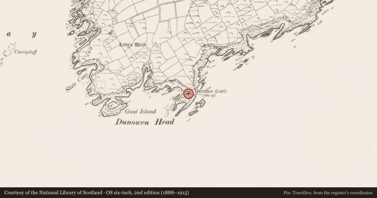 Ordnance Survey six-inch map, 2nd edition (1888–1915) covering the location of Castle - unclassified, Dunowen, County Cork, with a pin at the register's coordinates