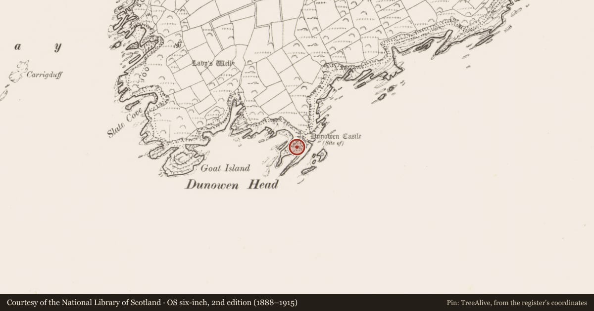 Ordnance Survey six-inch map, 2nd edition (1888–1915) covering the location of Burial, Dunowen, County Cork, with a pin at the register's coordinates