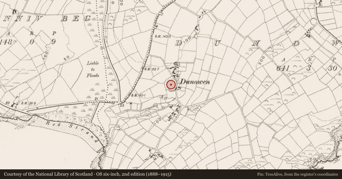 Ordnance Survey six-inch map, 2nd edition (1888–1915) covering the location of Enclosure, Dunowen, County Cork, with a pin at the register's coordinates