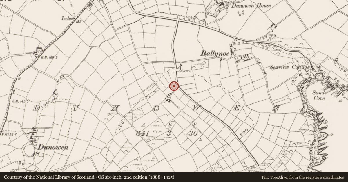 Ordnance Survey six-inch map, 2nd edition (1888–1915) covering the location of Ringfort - rath, Dunowen, County Cork, with a pin at the register's coordinates