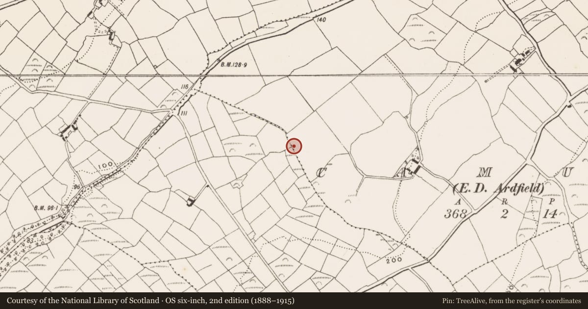 Ordnance Survey six-inch map, 2nd edition (1888–1915) covering the location of Fulacht fia, Camus (Ibane and Barryroe By., Kilkerranmore Par.), County Cork, with a pin at the register's coordinates