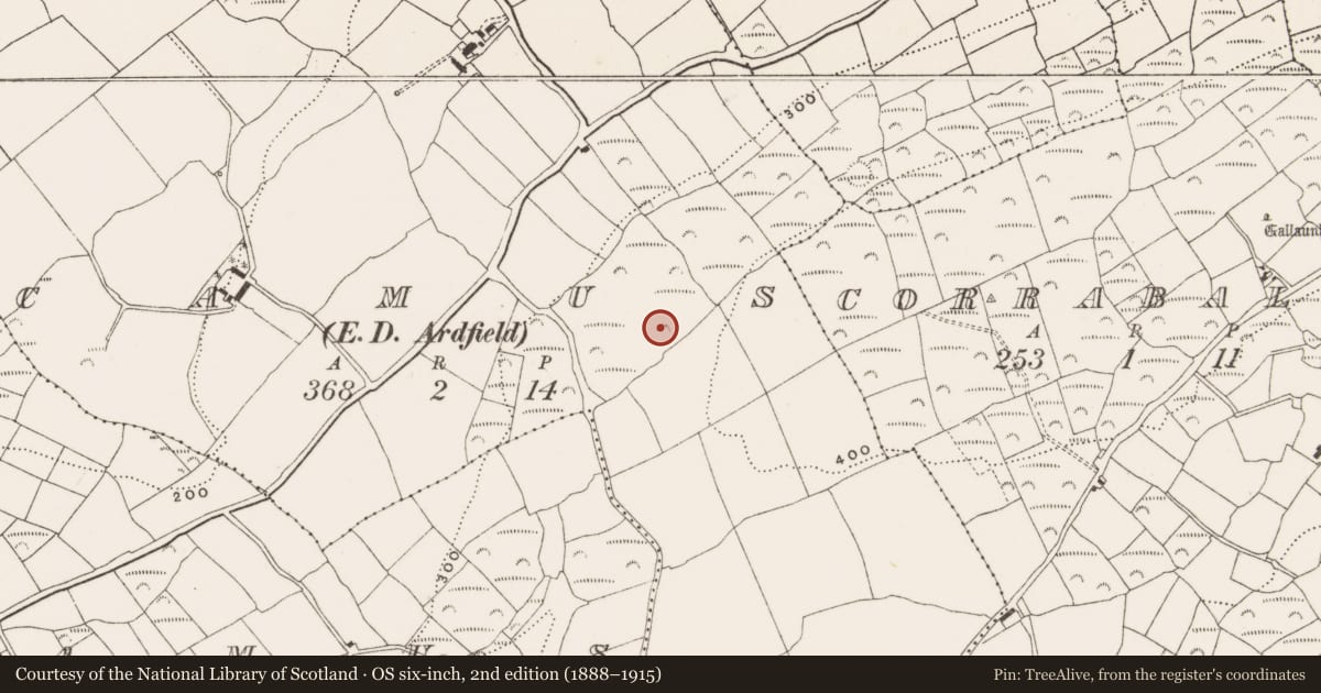 Ordnance Survey six-inch map, 2nd edition (1888–1915) covering the location of Mass-rock, Camus (Ibane and Barryroe By., Kilkerranmore Par.), County Cork, with a pin at the register's coordinates