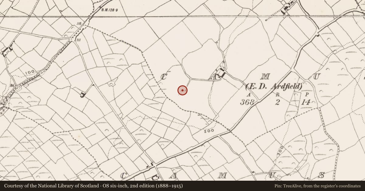 Ordnance Survey six-inch map, 2nd edition (1888–1915) covering the location of Burial ground, Camus (Ibane and Barryroe By., Kilkerranmore Par.), County Cork, with a pin at the register's coordinates