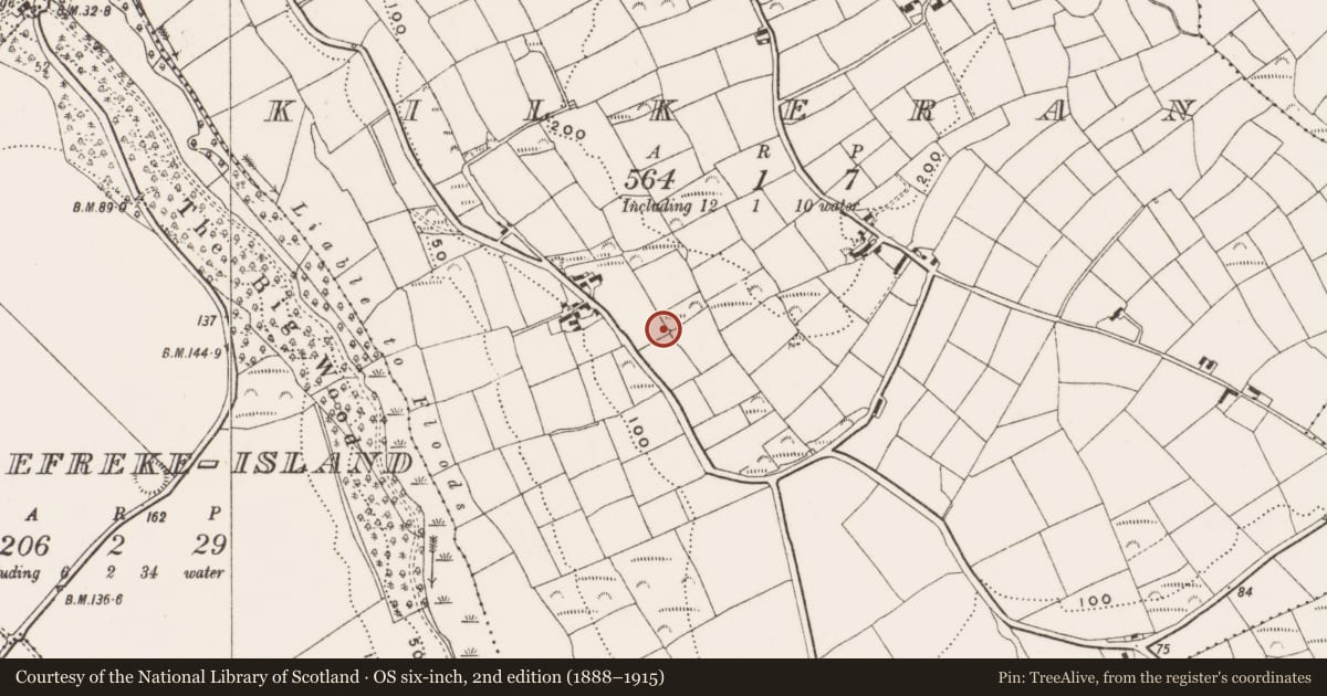 Ordnance Survey six-inch map, 2nd edition (1888–1915) covering the location of Souterrain, Kilkeran, County Cork, with a pin at the register's coordinates