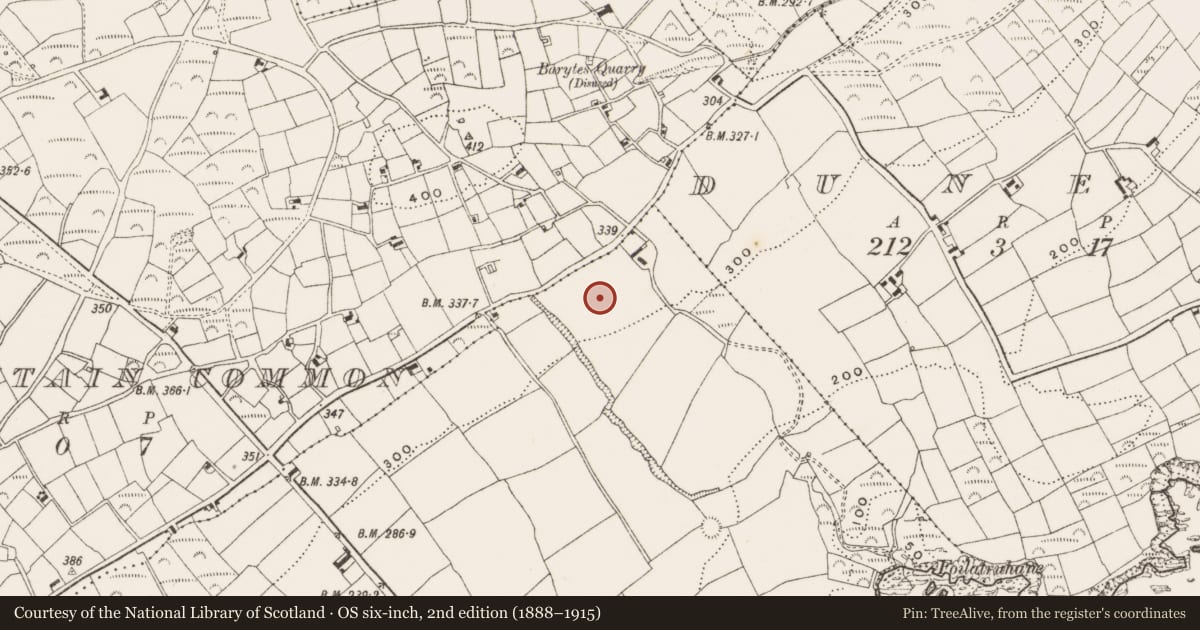 Ordnance Survey six-inch map, 2nd edition (1888–1915) covering the location of Children's burial ground, Brownstown, County Cork, with a pin at the register's coordinates