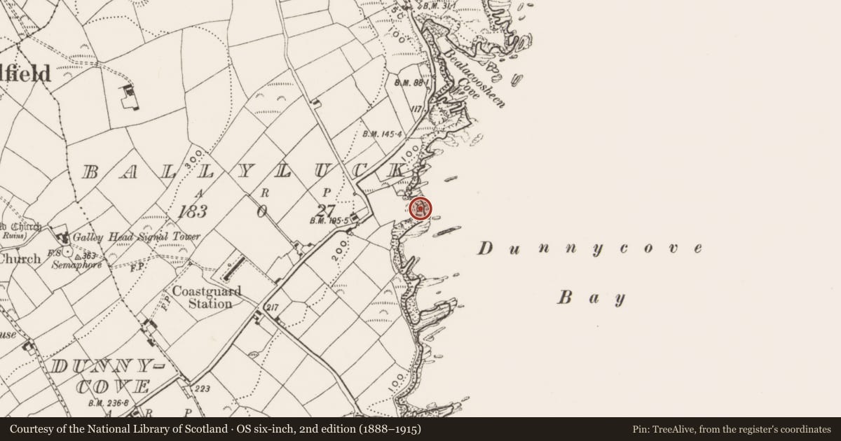 Ordnance Survey six-inch map, 2nd edition (1888–1915) covering the location of Promontory fort - coastal, Ballyluck, County Cork, with a pin at the register's coordinates