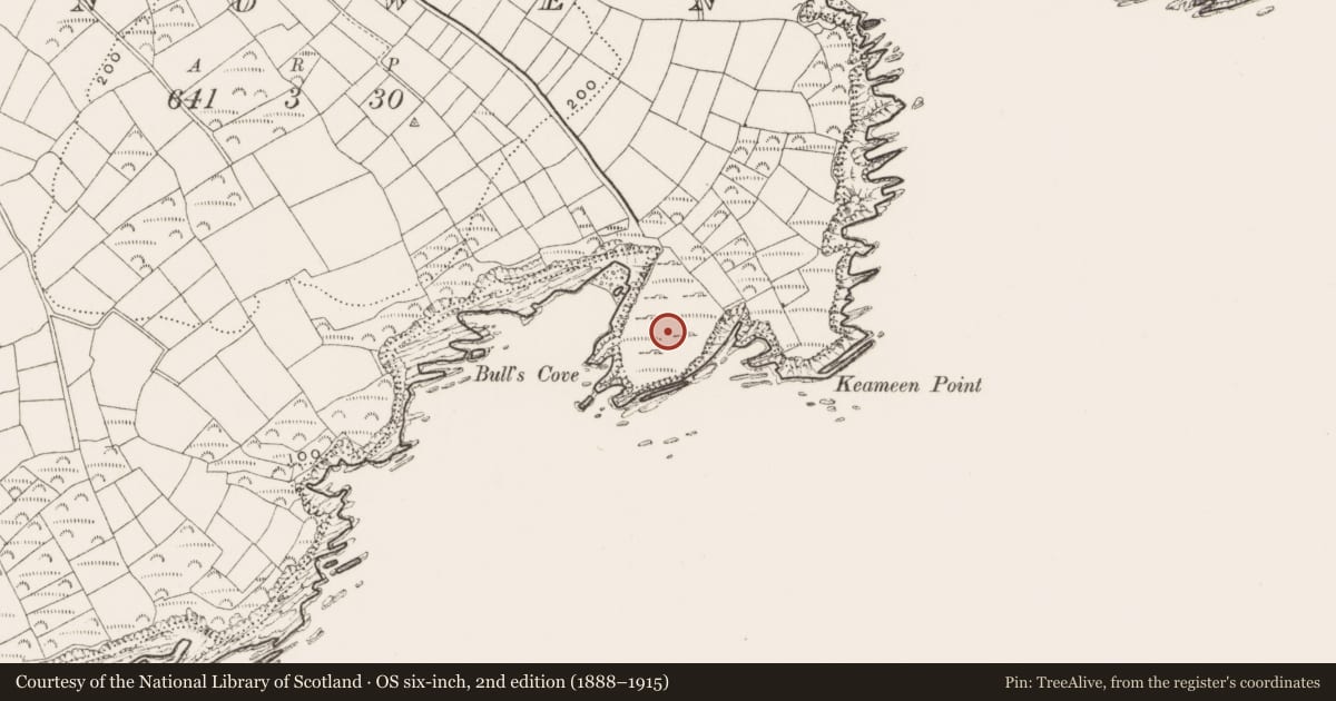 Ordnance Survey six-inch map, 2nd edition (1888–1915) covering the location of Promontory fort - coastal, Dunowen, County Cork, with a pin at the register's coordinates