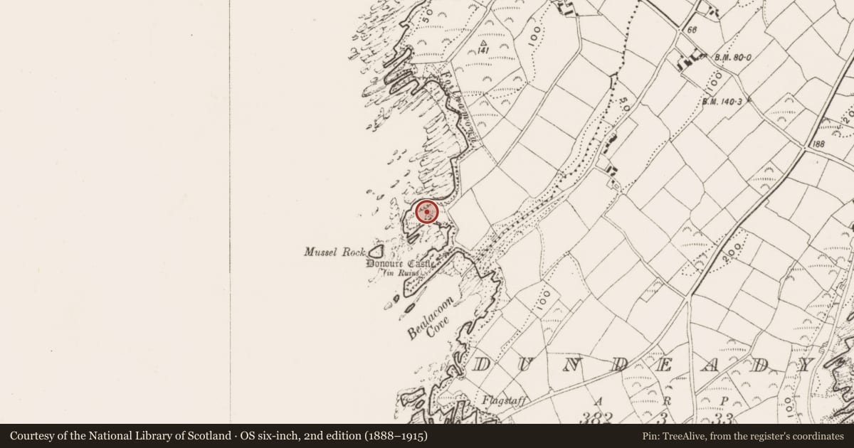 Ordnance Survey six-inch map, 2nd edition (1888–1915) covering the location of Hut site, Donoure, County Cork, with a pin at the register's coordinates