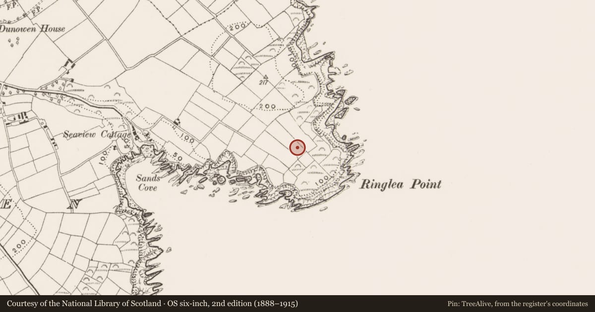 Ordnance Survey six-inch map, 2nd edition (1888–1915) covering the location of Promontory fort - coastal, Dunowen, County Cork, with a pin at the register's coordinates