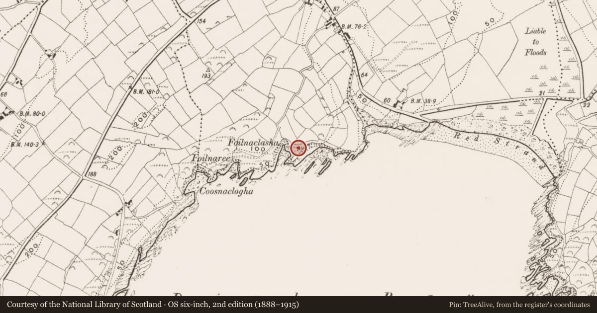 Ordnance Survey six-inch map, 2nd edition (1888–1915) covering the location of Promontory fort - coastal, Ganniv More, County Cork, with a pin at the register's coordinates