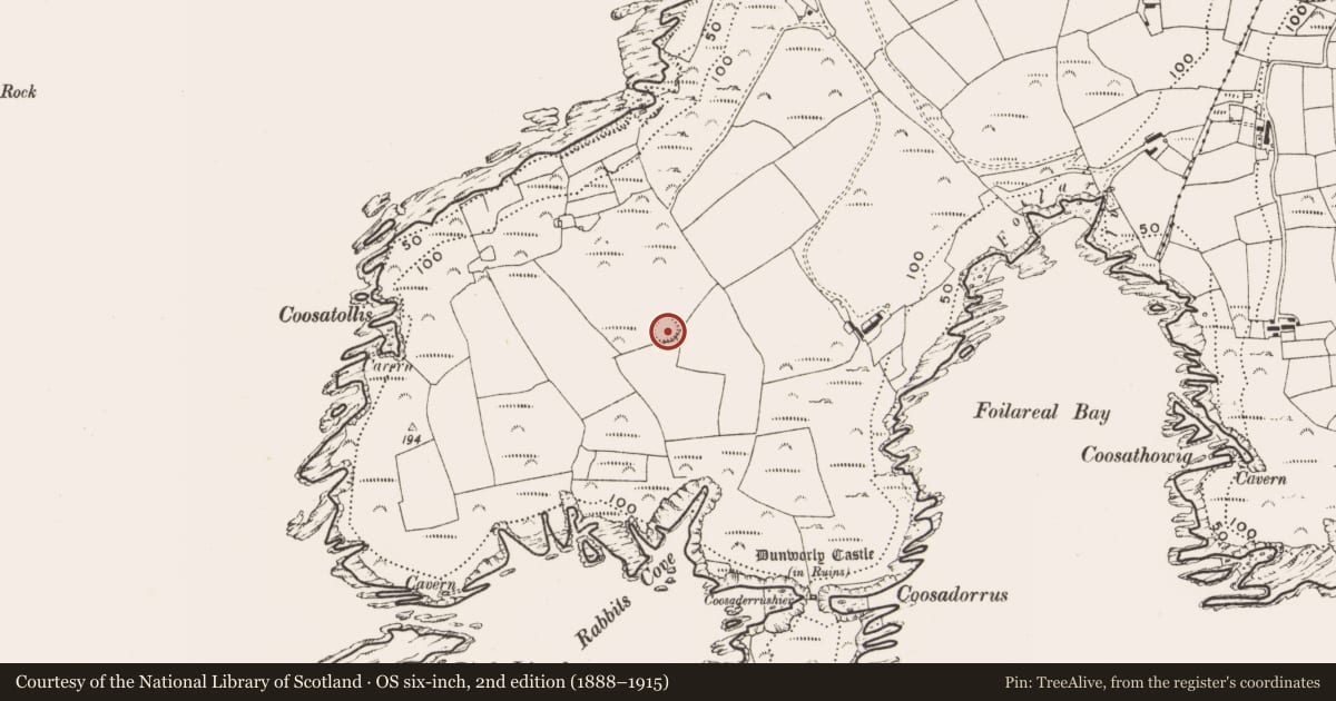Ordnance Survey six-inch map, 2nd edition (1888–1915) covering the location of Hut site, Dunworly, County Cork, with a pin at the register's coordinates