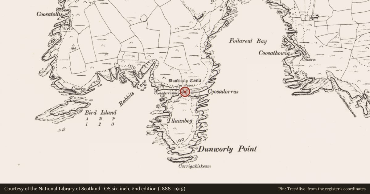 Ordnance Survey six-inch map, 2nd edition (1888–1915) covering the location of Castle - tower house, Dunworly, County Cork, with a pin at the register's coordinates