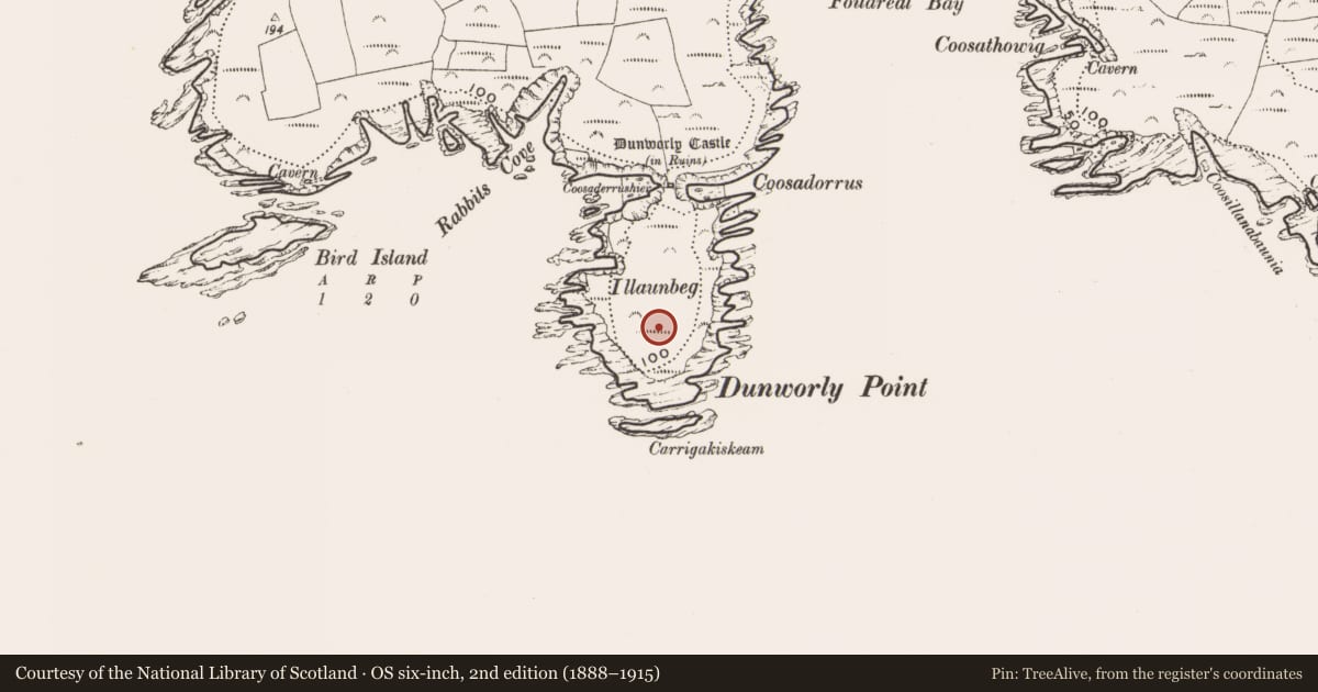Ordnance Survey six-inch map, 2nd edition (1888–1915) covering the location of Promontory fort - coastal, Dunworly, County Cork, with a pin at the register's coordinates