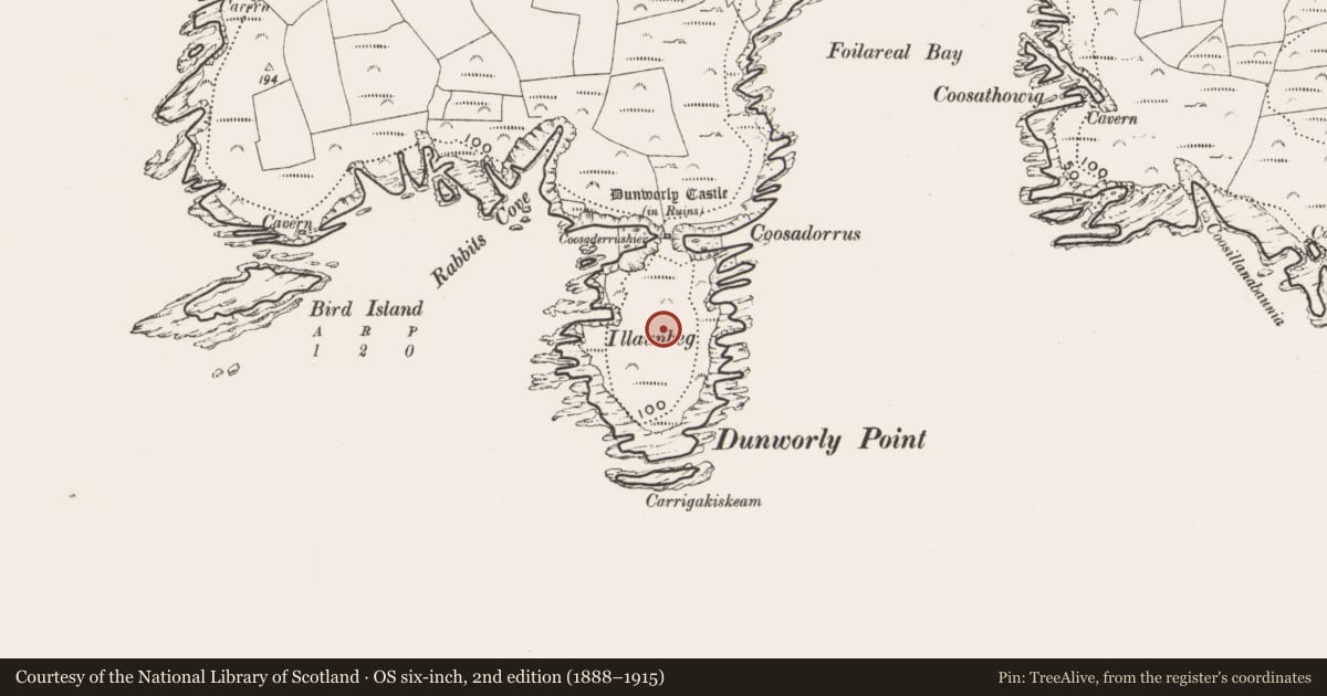 Ordnance Survey six-inch map, 2nd edition (1888–1915) covering the location of House - indeterminate date, Dunworly, County Cork, with a pin at the register's coordinates