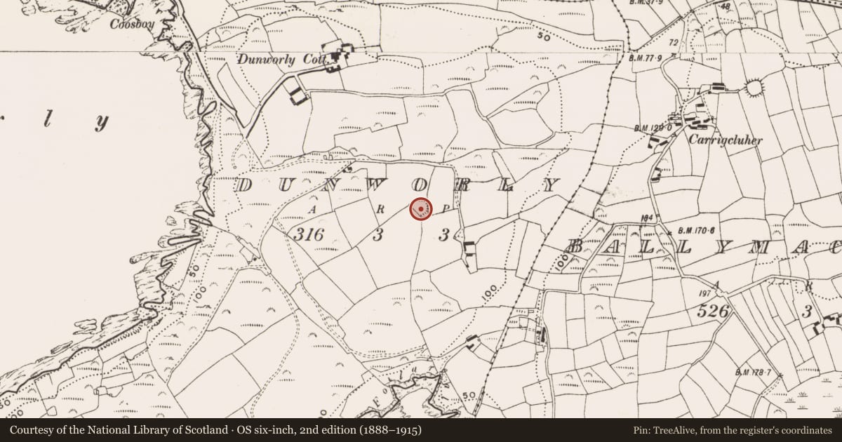 Ordnance Survey six-inch map, 2nd edition (1888–1915) covering the location of Ringfort - rath, Dunworly, County Cork, with a pin at the register's coordinates