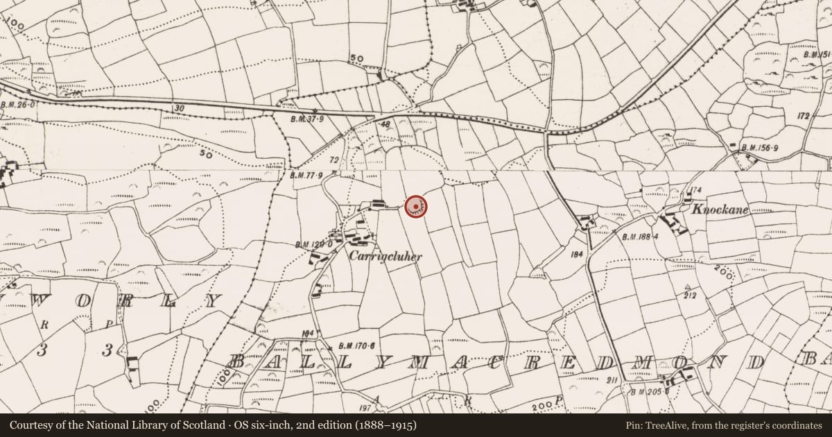 Ordnance Survey six-inch map, 2nd edition (1888–1915) covering the location of Ringfort - rath, Ballymacredmond, County Cork, with a pin at the register's coordinates