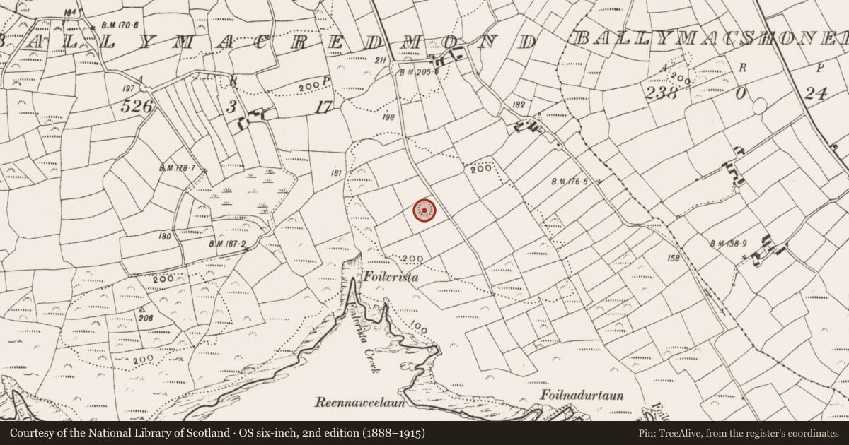 Ordnance Survey six-inch map, 2nd edition (1888–1915) covering the location of Ringfort - rath, Ballymacredmond, County Cork, with a pin at the register's coordinates