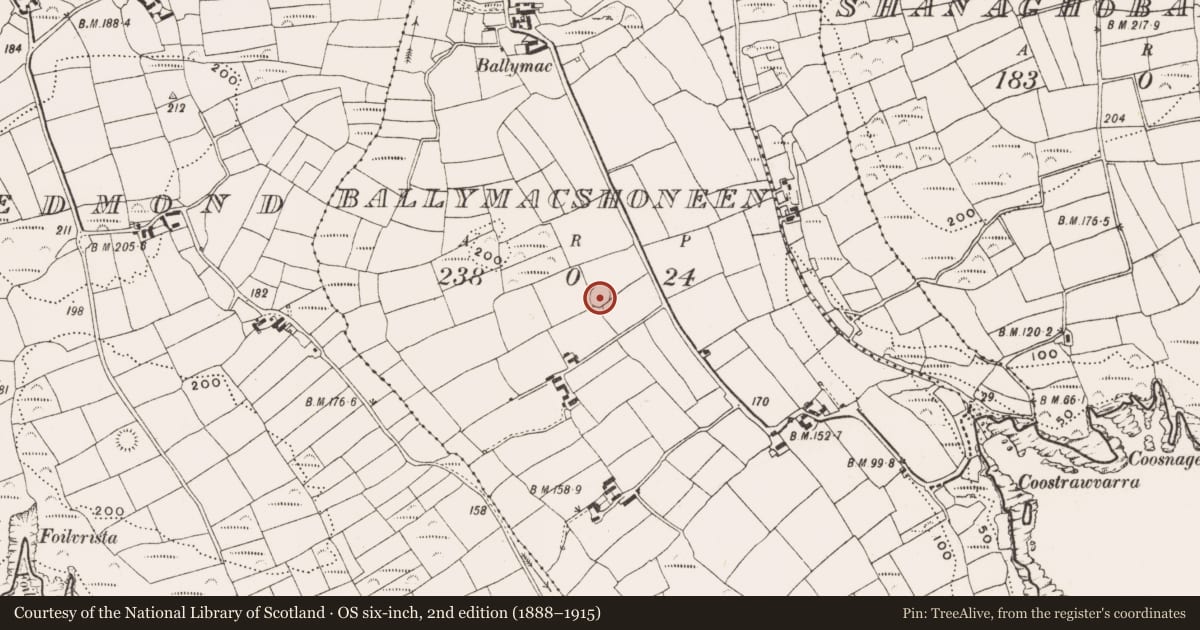 Ordnance Survey six-inch map, 2nd edition (1888–1915) covering the location of Ringfort - rath, Ballymacshoneen, County Cork, with a pin at the register's coordinates