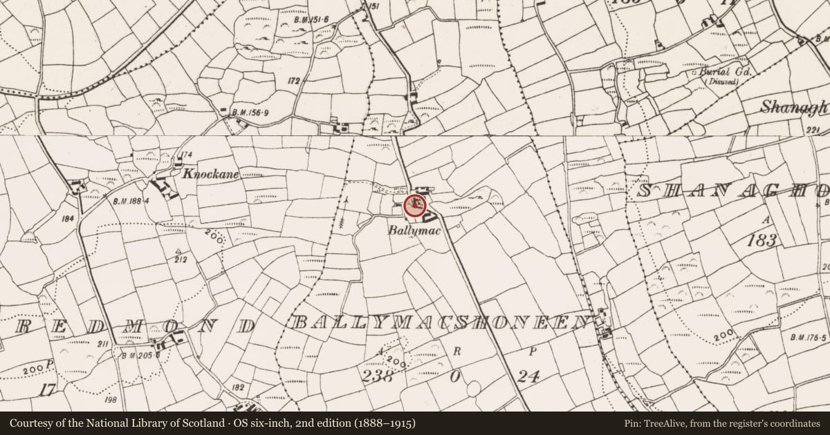 Ordnance Survey six-inch map, 2nd edition (1888–1915) covering the location of Settlement cluster, Ballymacshoneen, County Cork, with a pin at the register's coordinates