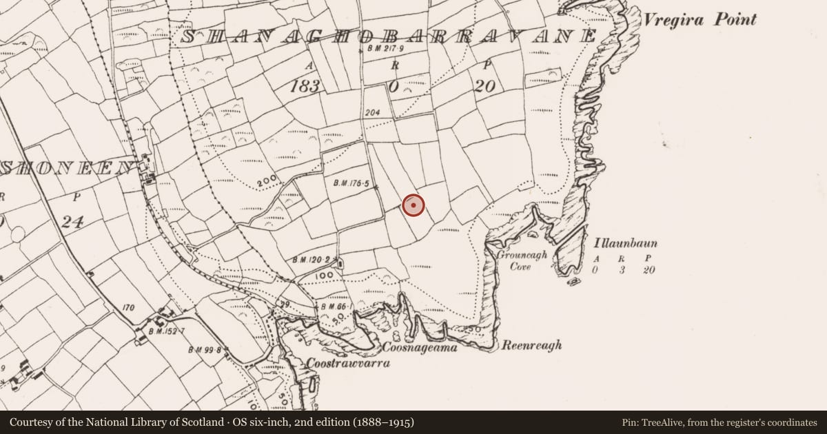 Ordnance Survey six-inch map, 2nd edition (1888–1915) covering the location of Ringfort - rath, Shanaghobarravane, County Cork, with a pin at the register's coordinates