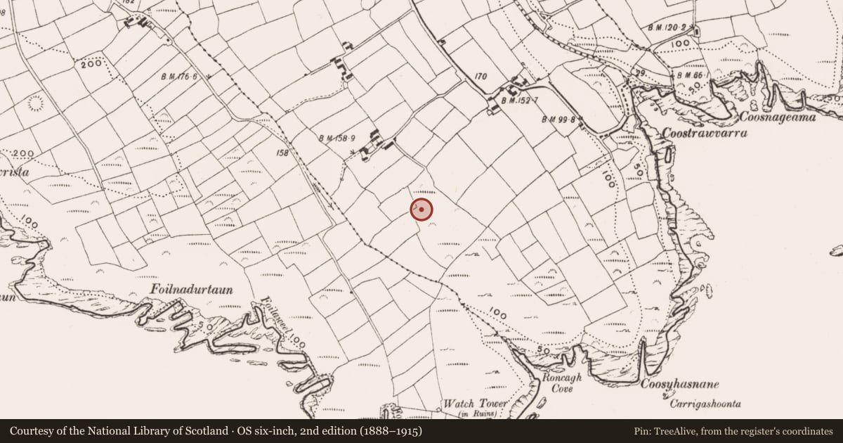 Ordnance Survey six-inch map, 2nd edition (1888–1915) covering the location of Standing stone, Ballymacshoneen, County Cork, with a pin at the register's coordinates