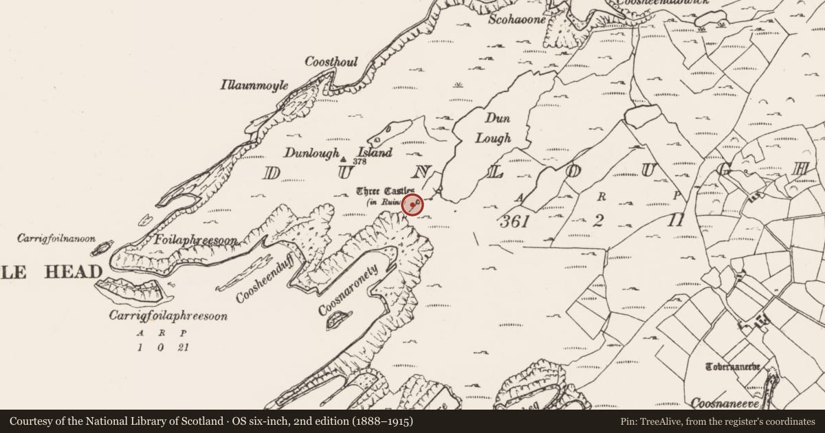 Ordnance Survey six-inch map, 2nd edition (1888–1915) covering the location of Castle - tower house, Dunlough, County Cork, with a pin at the register's coordinates