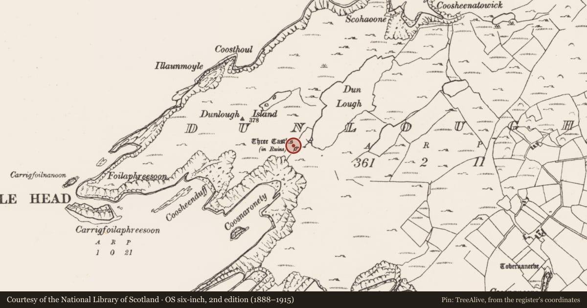 Ordnance Survey six-inch map, 2nd edition (1888–1915) covering the location of Bawn, Dunlough, County Cork, with a pin at the register's coordinates