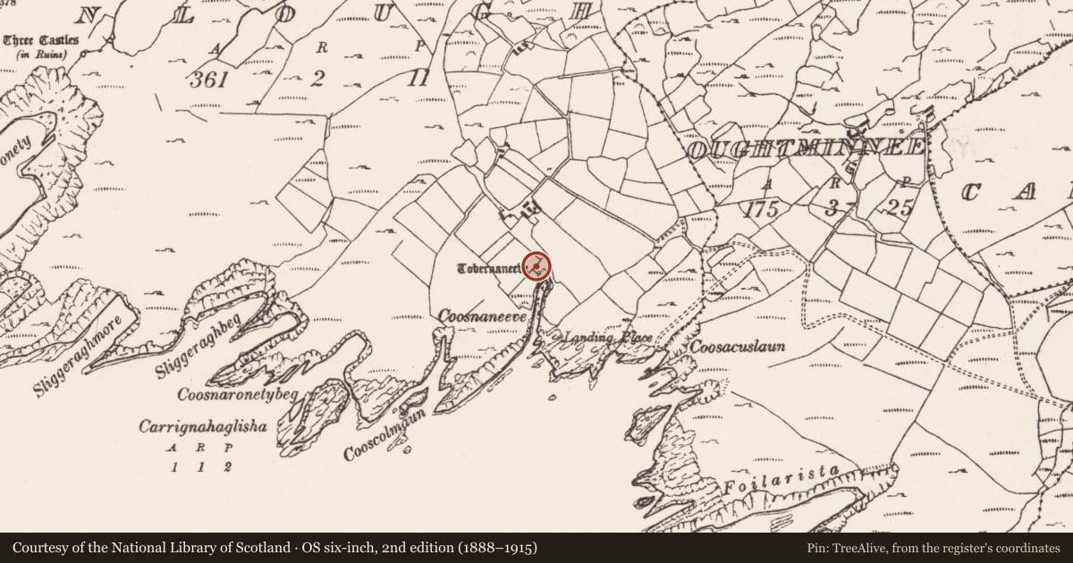 Ordnance Survey six-inch map, 2nd edition (1888–1915) covering the location of Ritual site - holy well, Dunlough, County Cork, with a pin at the register's coordinates