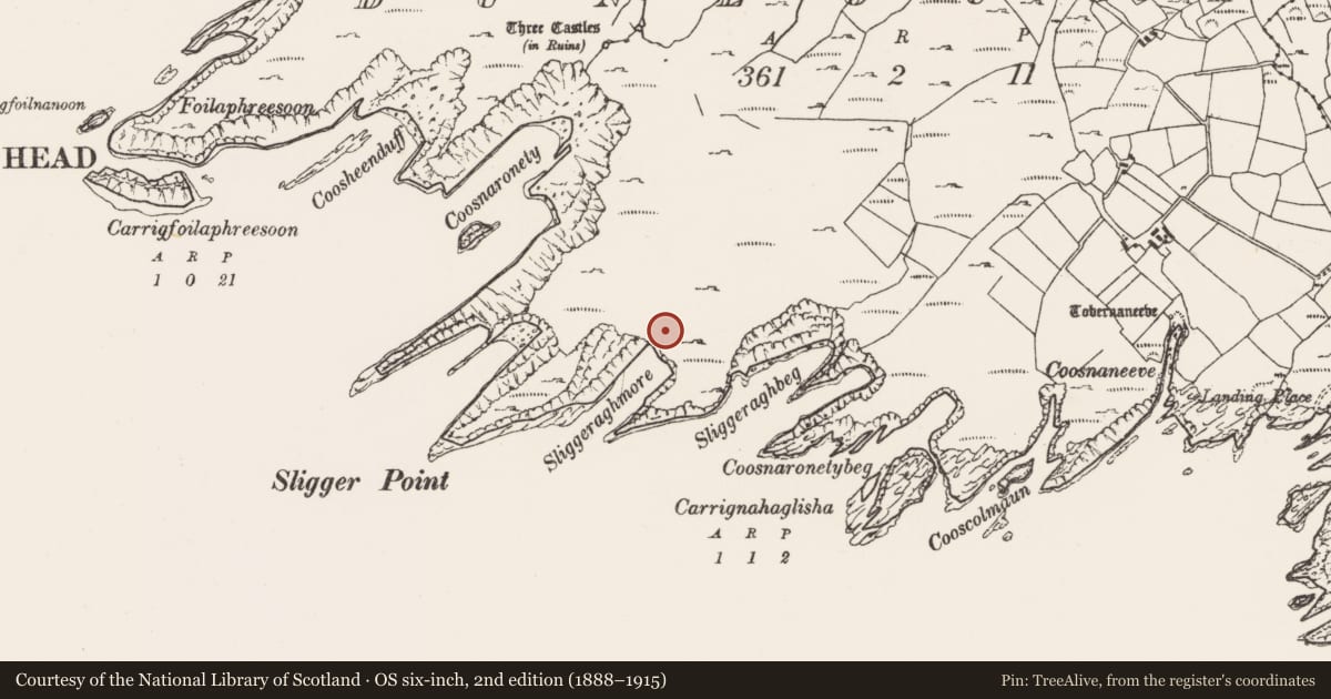 Ordnance Survey six-inch map, 2nd edition (1888–1915) covering the location of Field boundary, Dunlough, County Cork, with a pin at the register's coordinates
