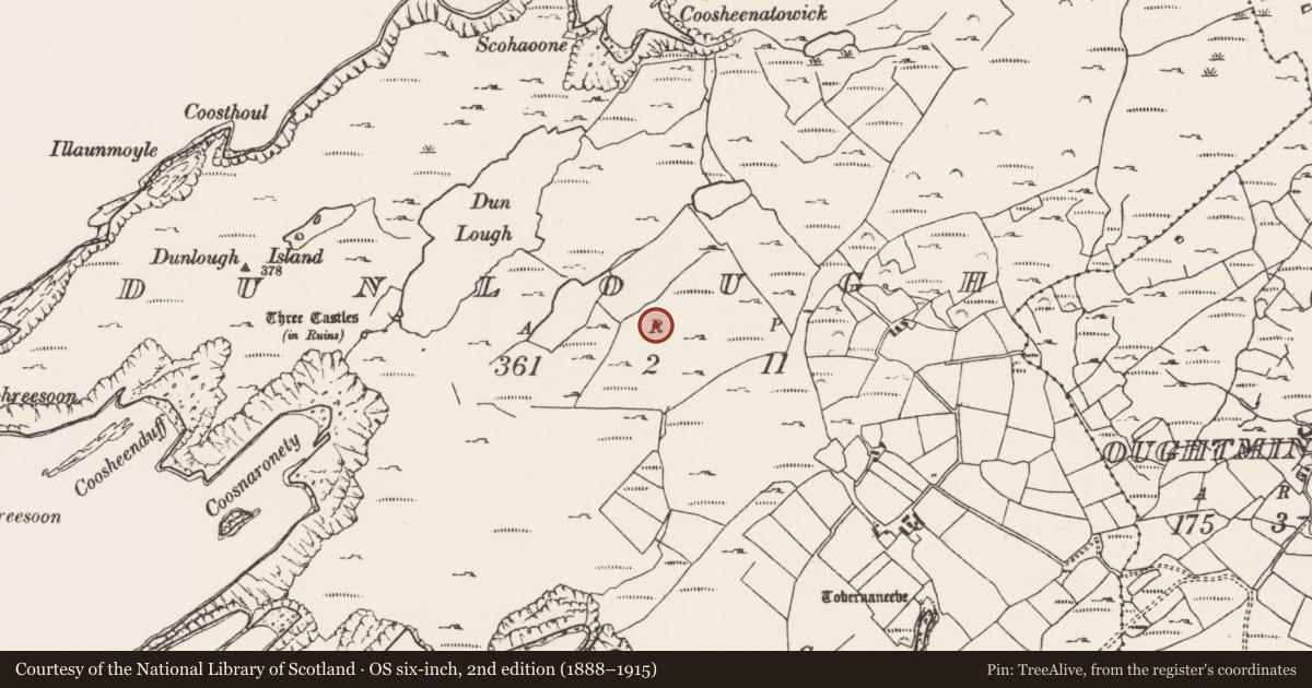 Ordnance Survey six-inch map, 2nd edition (1888–1915) covering the location of Hut site, Dunlough, County Cork, with a pin at the register's coordinates