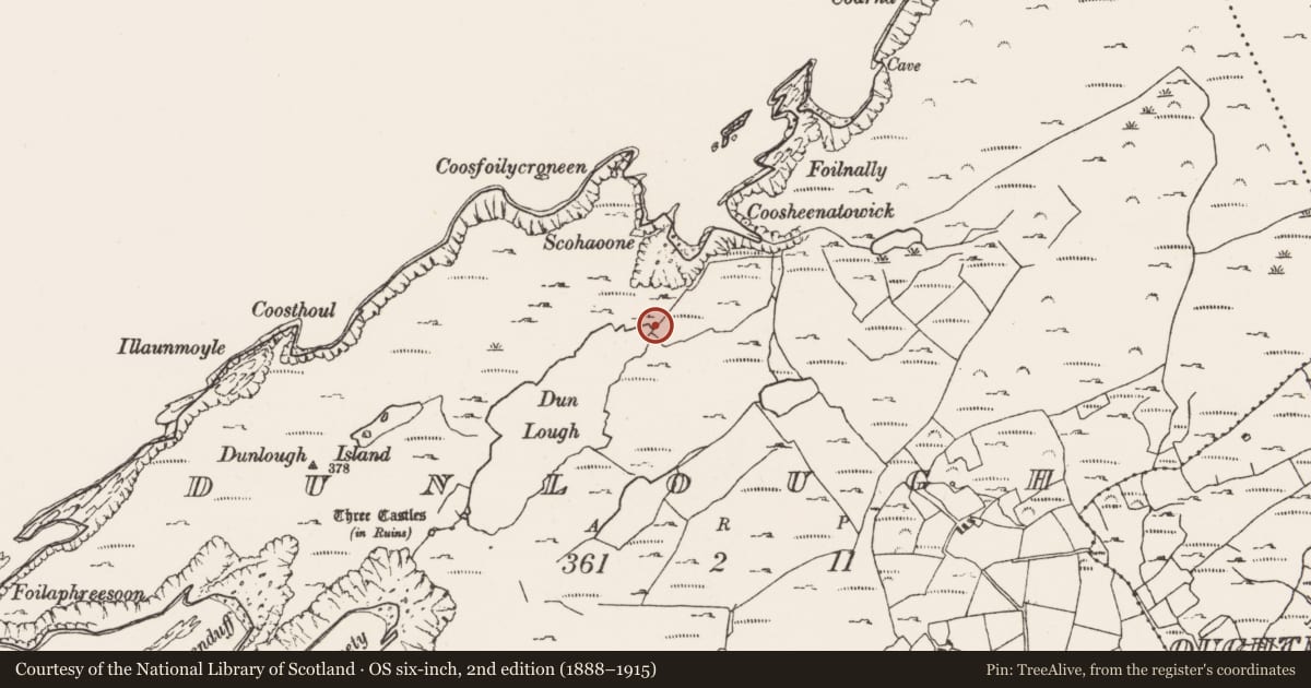 Ordnance Survey six-inch map, 2nd edition (1888–1915) covering the location of Bawn, Dunlough, County Cork, with a pin at the register's coordinates