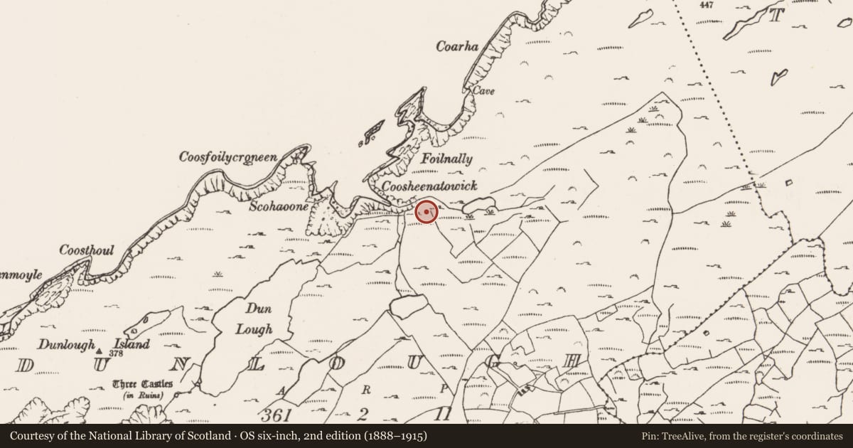 Ordnance Survey six-inch map, 2nd edition (1888–1915) covering the location of Hut site, Dunlough, County Cork, with a pin at the register's coordinates