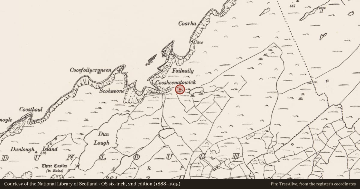 Ordnance Survey six-inch map, 2nd edition (1888–1915) covering the location of Enclosure, Dunlough, County Cork, with a pin at the register's coordinates