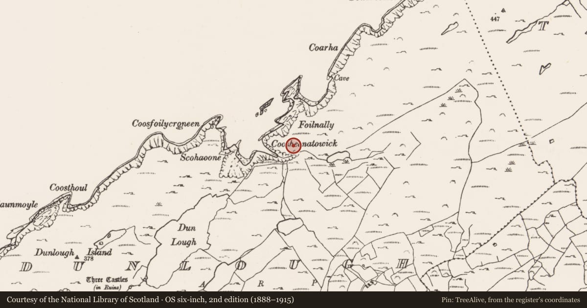 Ordnance Survey six-inch map, 2nd edition (1888–1915) covering the location of Hut site, Dunlough, County Cork, with a pin at the register's coordinates