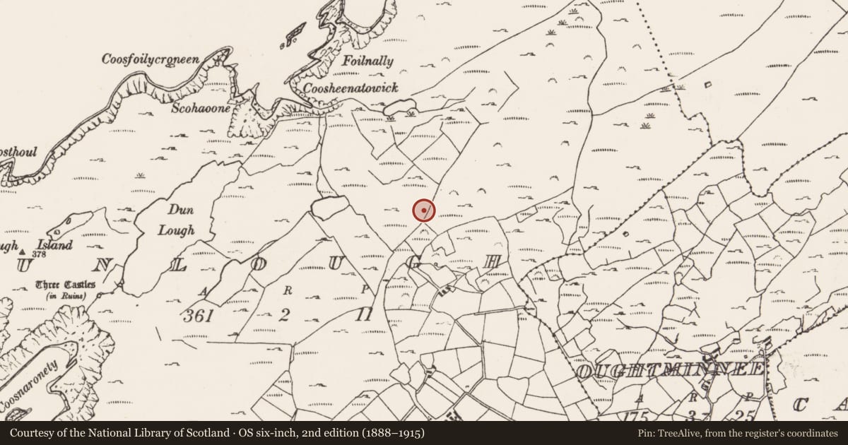 Ordnance Survey six-inch map, 2nd edition (1888–1915) covering the location of Road - road/trackway, Dunlough, County Cork, with a pin at the register's coordinates