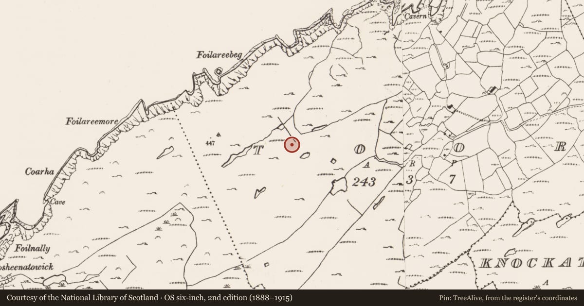 Ordnance Survey six-inch map, 2nd edition (1888–1915) covering the location of Field boundary, Toor, County Cork, with a pin at the register's coordinates