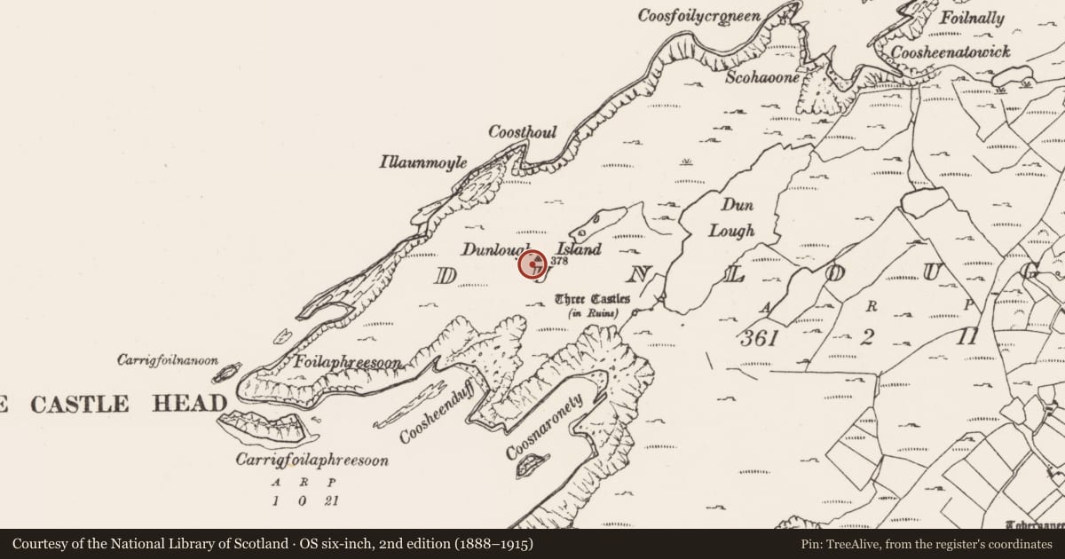 Ordnance Survey six-inch map, 2nd edition (1888–1915) covering the location of Cairn - unclassified, Dunlough, County Cork, with a pin at the register's coordinates