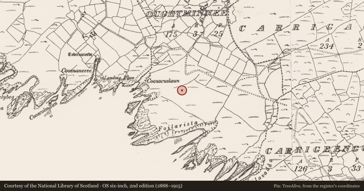 Ordnance Survey six-inch map, 2nd edition (1888–1915) covering the location of Standing stone, Oughtminnee, County Cork, with a pin at the register's coordinates