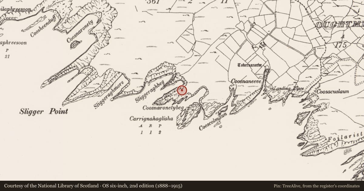 Ordnance Survey six-inch map, 2nd edition (1888–1915) covering the location of Promontory fort - coastal, Dunlough, County Cork, with a pin at the register's coordinates