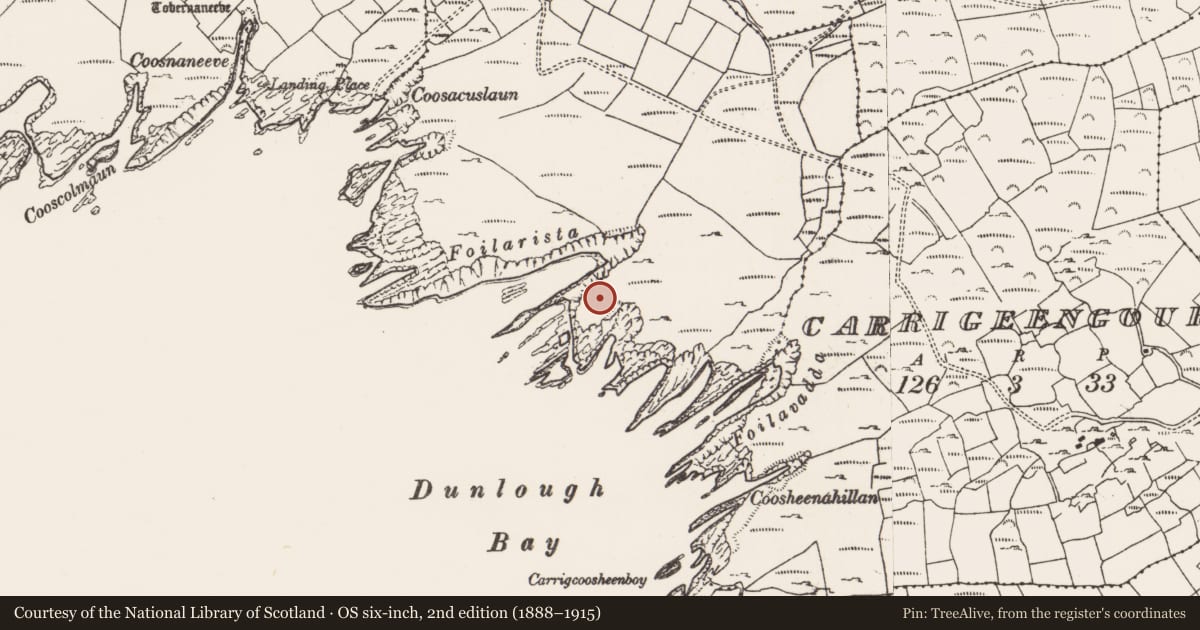 Ordnance Survey six-inch map, 2nd edition (1888–1915) covering the location of Promontory fort - coastal, Oughtminnee, County Cork, with a pin at the register's coordinates